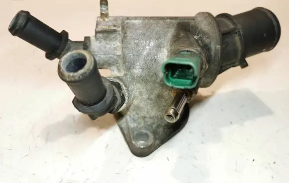 Thermostat/thermostat housing