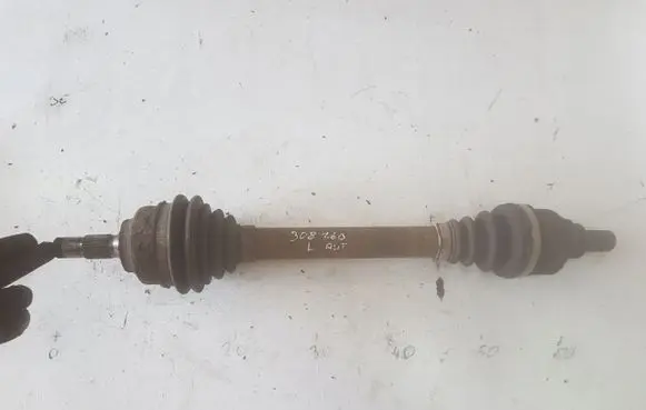 Front shock absorber with coil spring