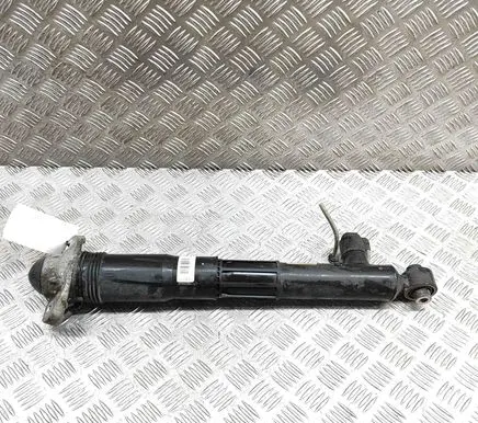 Volkswagen ID.4 Rear shock absorber/damper 1EA512037N