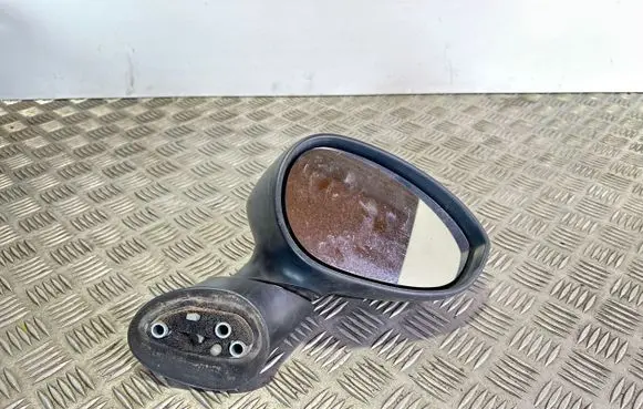Fiat Punto (199) Front door electric wing mirror E3011024