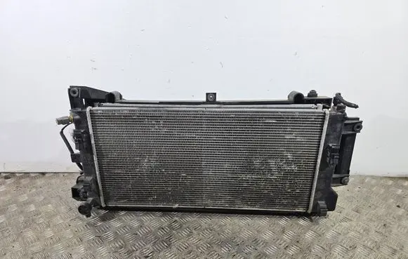 Nissan Leaf I (ZE0) Radiator set 921003NL1A
