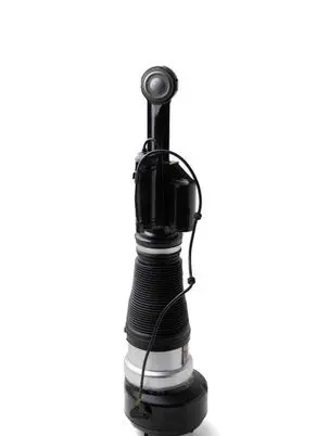 Mercedes-Benz S W221 Front air suspension shock absorber AS2548 44110482 A2213200938