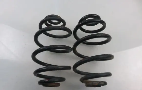 Volkswagen PASSAT B5.5 Rear coil spring