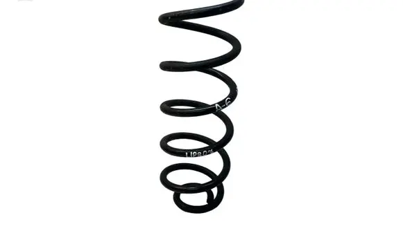 Rear coil spring