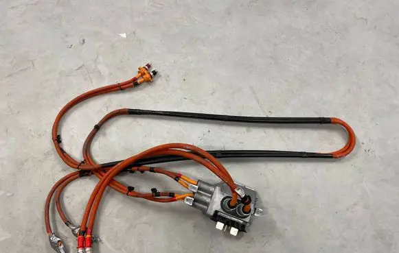 Tesla Model S Other wiring loom 1056187 106307900C