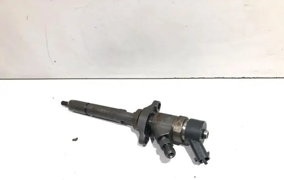 Citroen C4 Grand Picasso Fuel injector