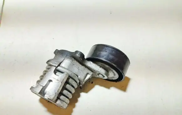 Volkswagen Fox Generator/alternator belt tensioner f23848108