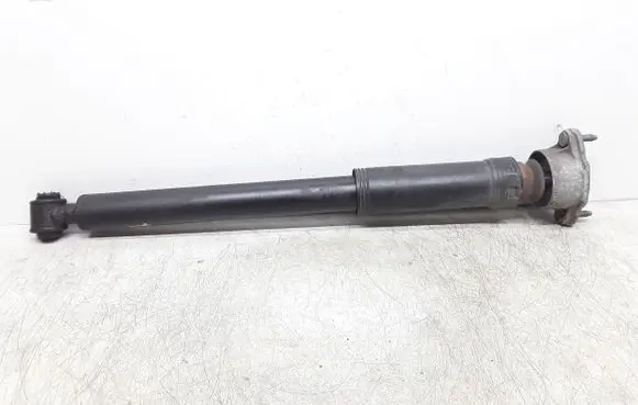 Rear shock absorber/damper