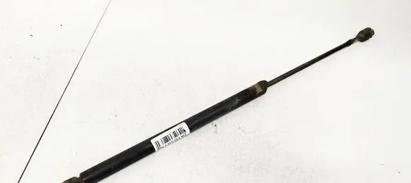 Tailgate/trunk strut/damper