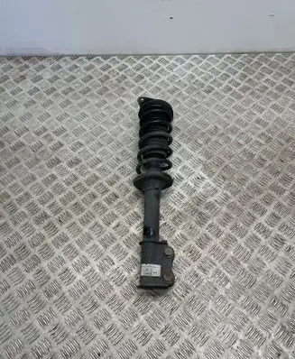 Dacia Spring Front shock absorber with coil spring 543022595R C08072021622