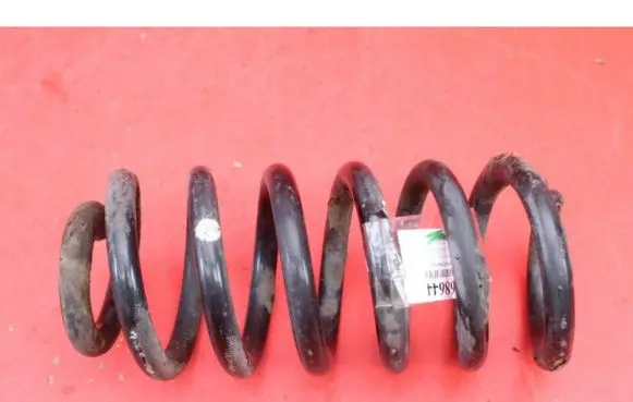 Opel Insignia A Rear coil spring