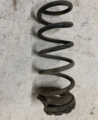 Rear coil spring