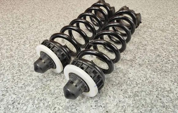 BMW 3 G20 G21 Rear coil spring 6890984