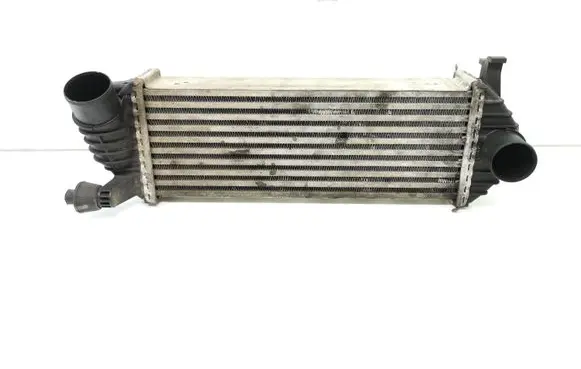 Renault Kangoo II Intercooler radiator 8200427469