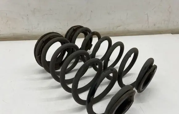 Rear coil spring
