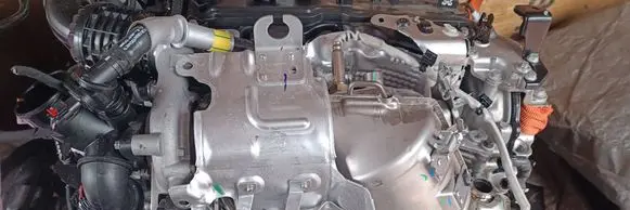 Exhaust heat shield