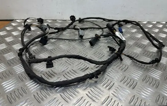 Volkswagen PASSAT B8 Other wiring loom 3G0971095