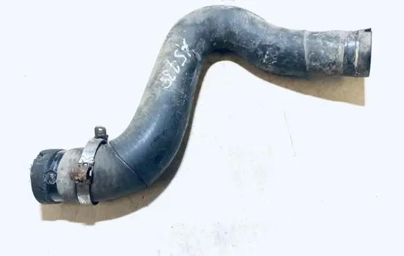 Fiat Multipla Engine coolant pipe/hose