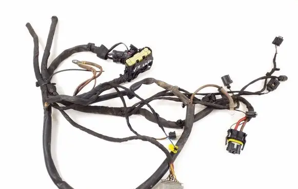 Other wiring loom