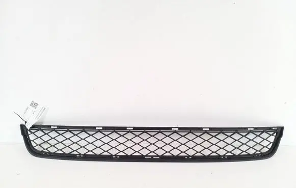 BMW X3 F25 Front bumper lower grill