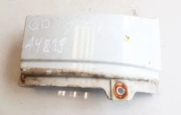 Rear/tail light trim molding