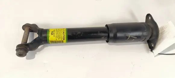 Chevrolet Corvette C5 Rear shock absorber/damper 10314571