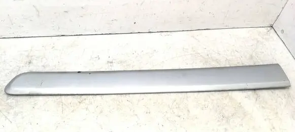 Front door trim (molding)