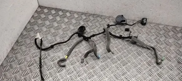 Rear door wiring loom