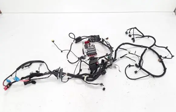 Renault Zoe Other wiring loom