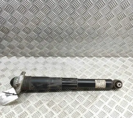Volkswagen ID.4 Rear shock absorber/damper 1EA512013BC