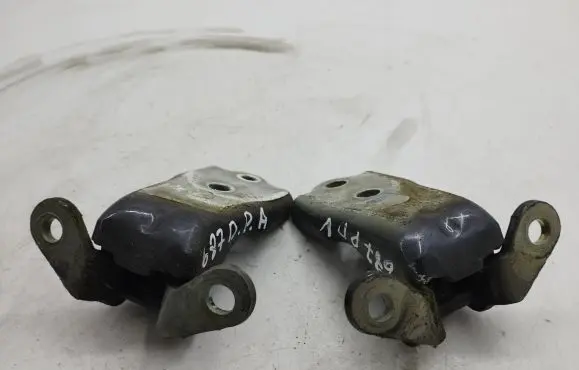 Opel Antara Front door hinge set A047587
