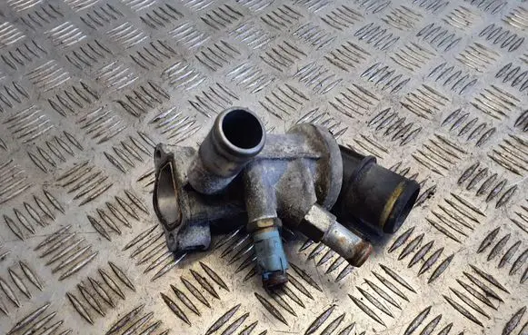 Thermostat/thermostat housing