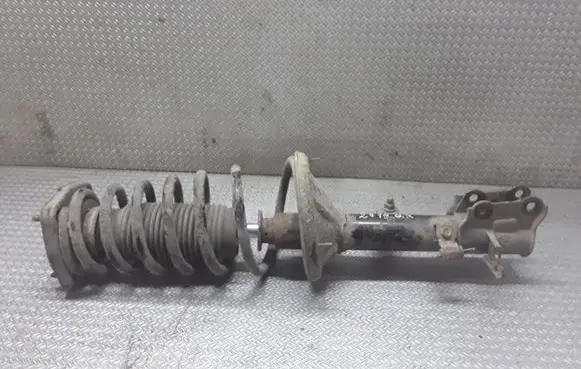 Hyundai Matrix Rear shock absorber with coil spring 