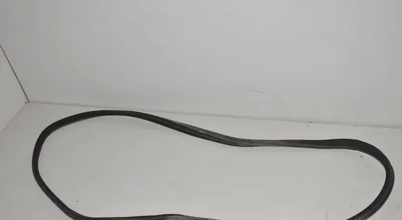 Mercedes-Benz S W220 Rear door rubber seal (on body) 