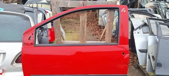 Renault Twingo II Front door