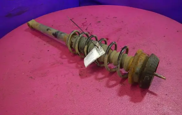 Ford Ka Rear shock absorber with coil spring 