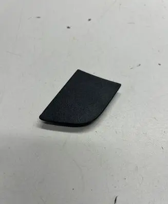 Dodge Charger Other rear door trim element 1rj90trmac