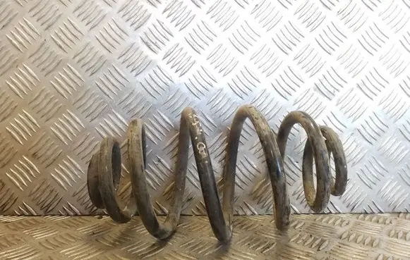 Rear coil spring