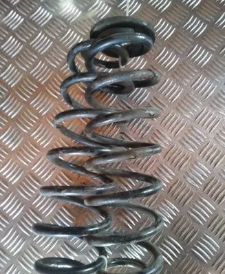 Volkswagen PASSAT B6 Rear coil spring