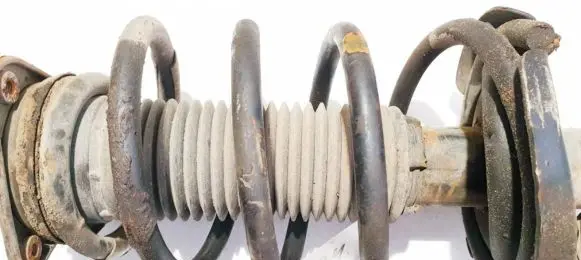 Front coil spring