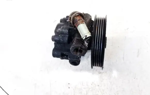 Skoda Octavia Mk2 (1Z) Power steering pump