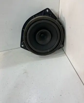 Front door speaker