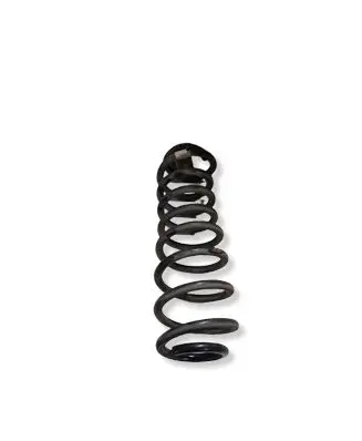 Ford Mustang V Rear coil spring 