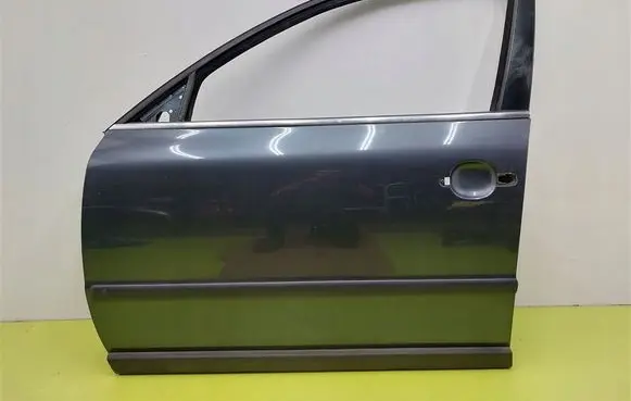 Volkswagen PASSAT B5.5 Front door 
