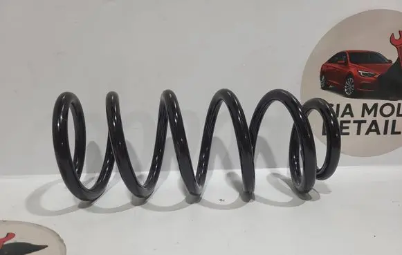 Volkswagen PASSAT B5.5 Rear coil spring Sw113mt