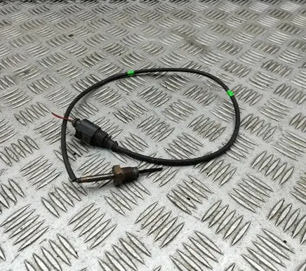 Volkswagen Caddy Oil temperature sensor 04L906088EJ