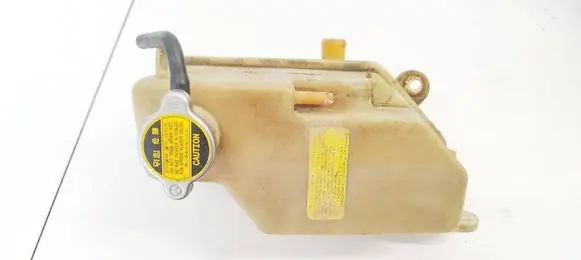 Hyundai Santa Fe Coolant expansion tank/reservoir