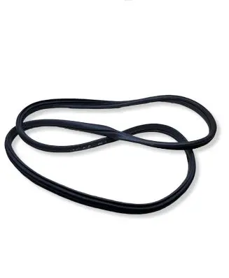 Hyundai Ioniq 5 Rear door rubber seal (on body) 