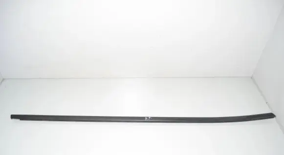 Front door glass trim molding