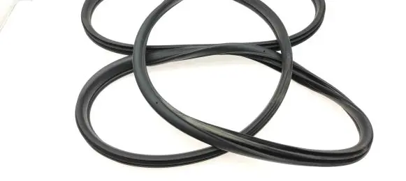 Subaru Legacy Front door rubber seal